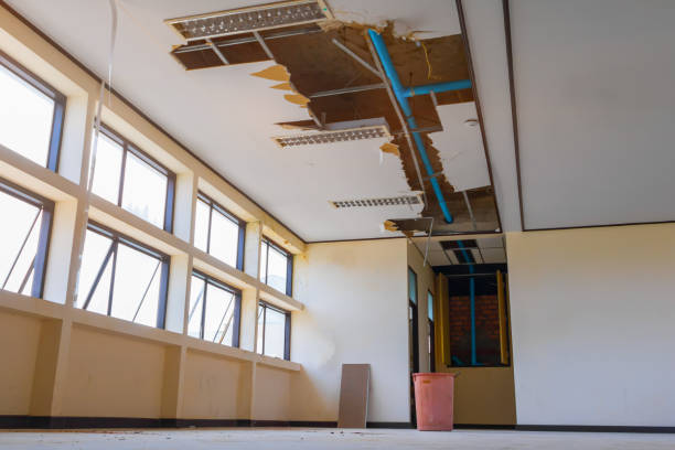 Best Dehumidification and Moisture Control in Humboldt, TN